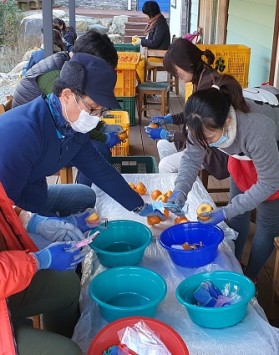 곶감말랭이 만들기